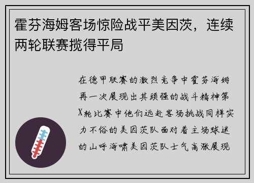 霍芬海姆客场惊险战平美因茨，连续两轮联赛揽得平局